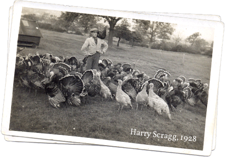 Harry scragg - Original turkey farmer